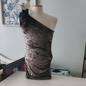 One-Shoulder Velvet Dress in Gray